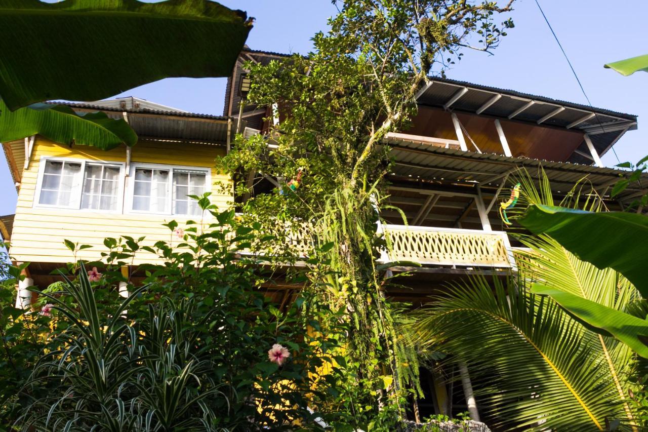 Bastimentos Hill Guest House Bocas Town Dış mekan fotoğraf